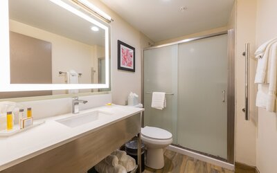 Holiday Inn Brookfield - ​​Milwaukee by IHG