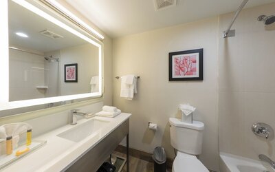 Holiday Inn Brookfield - ​​Milwaukee by IHG