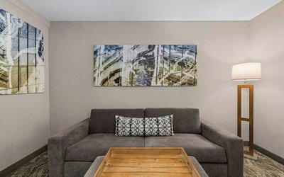 Springhill Suites Minneapolis St Louis Park by Marriott