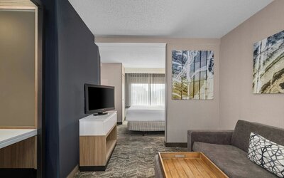Springhill Suites Minneapolis St Louis Park by Marriott