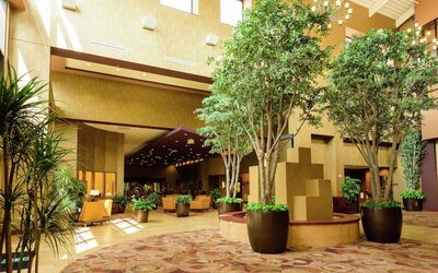 Embassy Suites by Hilton Minneapolis North