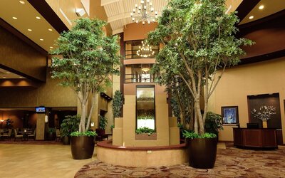 Embassy Suites by Hilton Minneapolis North
