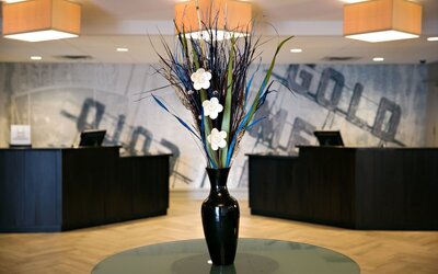 DoubleTree by Hilton Minneapolis - Park Place