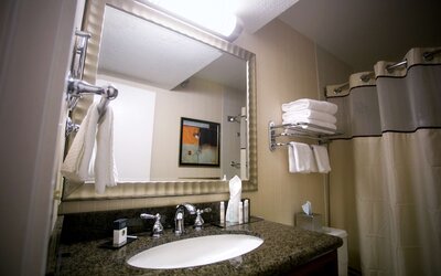 DoubleTree by Hilton Minneapolis - Park Place