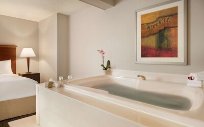 DoubleTree by Hilton Minneapolis - Park Place