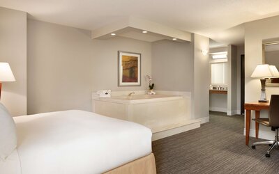 DoubleTree by Hilton Minneapolis - Park Place