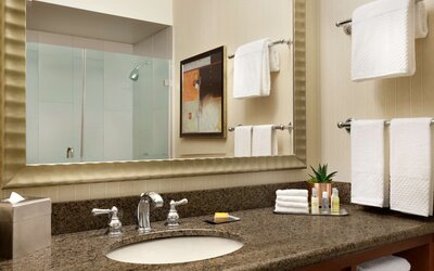 DoubleTree by Hilton Minneapolis - Park Place
