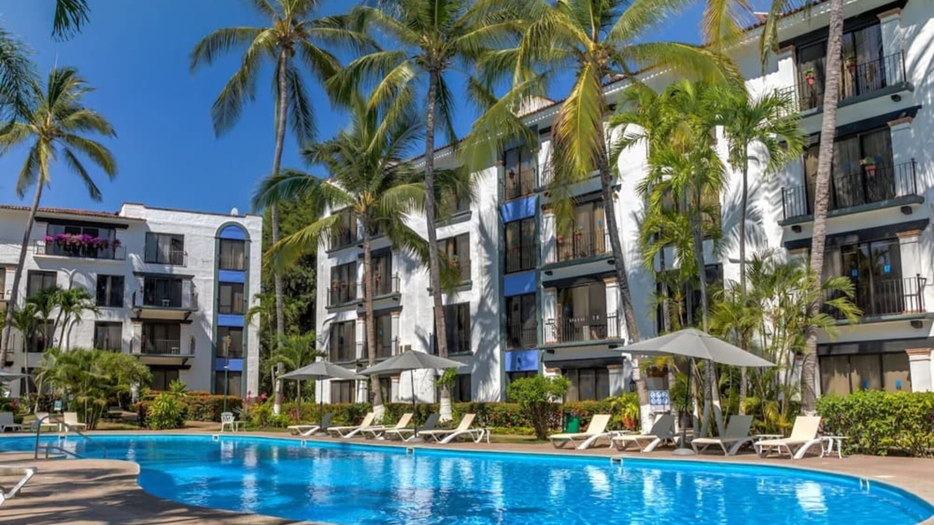 Stunning outdoor pool with palm trees at Puerto De Luna Pet Friendly & Family Suites.