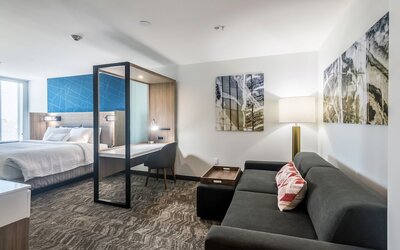 SpringHill Suites by Marriott Oklahoma City Downtown