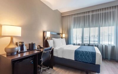 Comfortable king room with work station at Comfort Inn Prospect Park-Brooklyn.