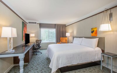 Hilton Garden Inn Olympia