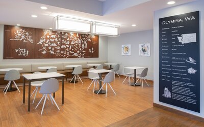 TownePlace Suites Olympia