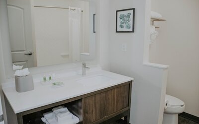 Holiday Inn Omaha Downtown - Waterpark by IHG