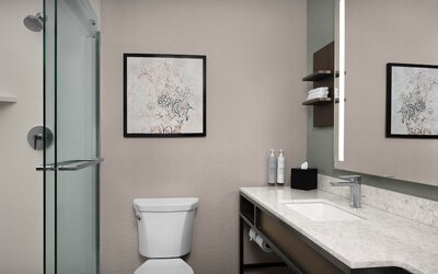 Hilton Garden Inn Philadelphia Ft. Washington