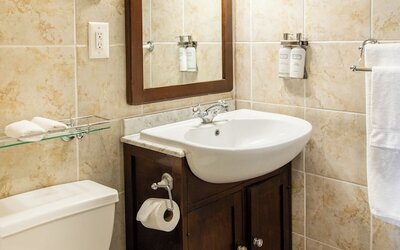 The Windsor Suites