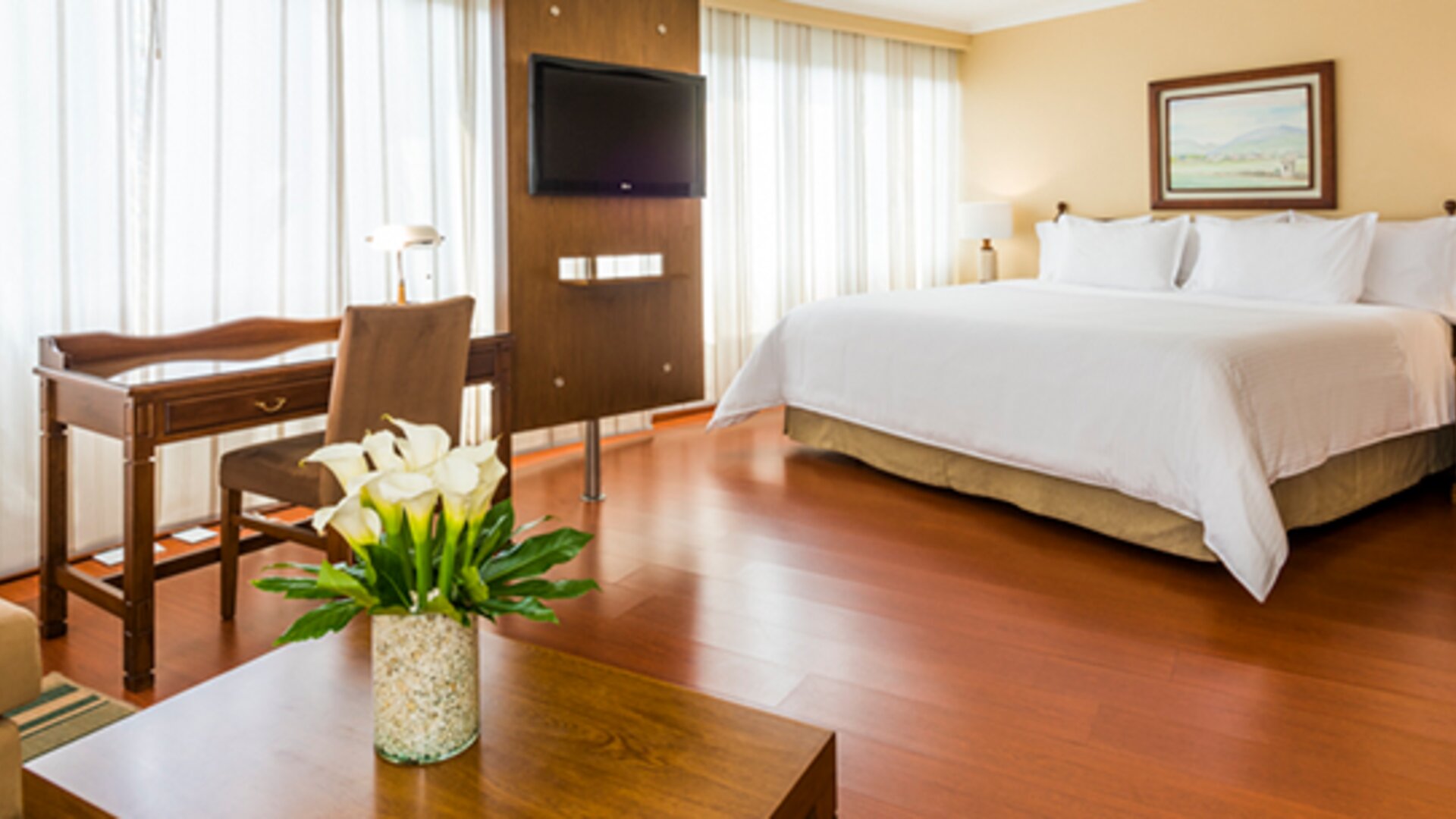 Cosmos 100 & Centro De Convenciones