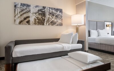 SpringHill Suites by Marriott West Mifflin