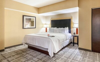 Cambria Hotel Pittsburgh - Downtown