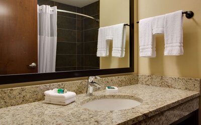 Drury Plaza Hotel Pittsburgh Downtown