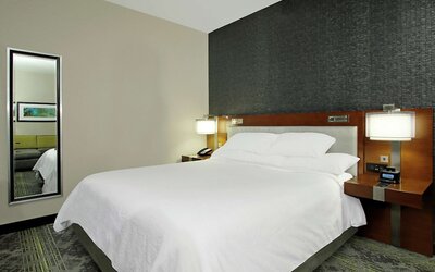 Embassy Suites By Hilton Pittsburgh Downtown