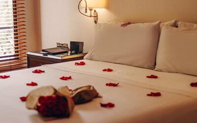 Hotel 101 Park House