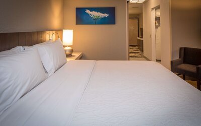 Hilton Garden Inn Pittsburgh Airport