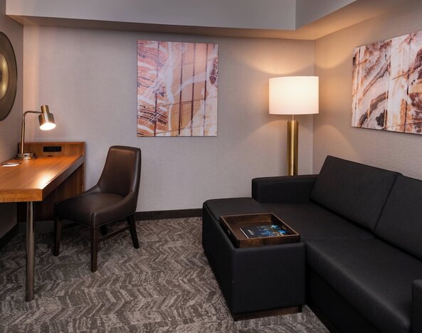 Springhill Suites by Marriott Pittsburgh North Shore