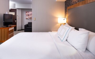 Springhill Suites by Marriott Pittsburgh North Shore