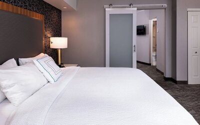 Springhill Suites by Marriott Pittsburgh North Shore