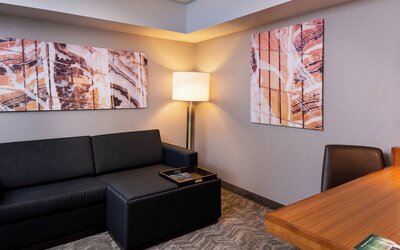 Springhill Suites by Marriott Pittsburgh North Shore