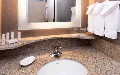 Springhill Suites by Marriott Pittsburgh North Shore