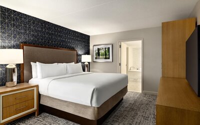 Room, 1 King Bed, Accessible, Non Smoking