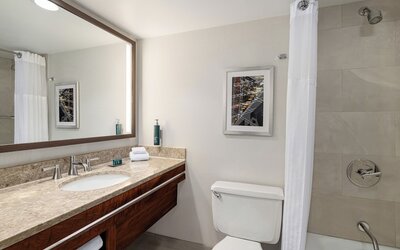 Suite, Accessible, Non Smoking
