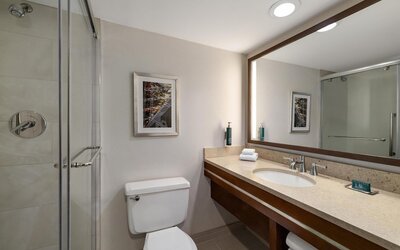 Room, 1 King Bed, Accessible (Roll-in Shower)