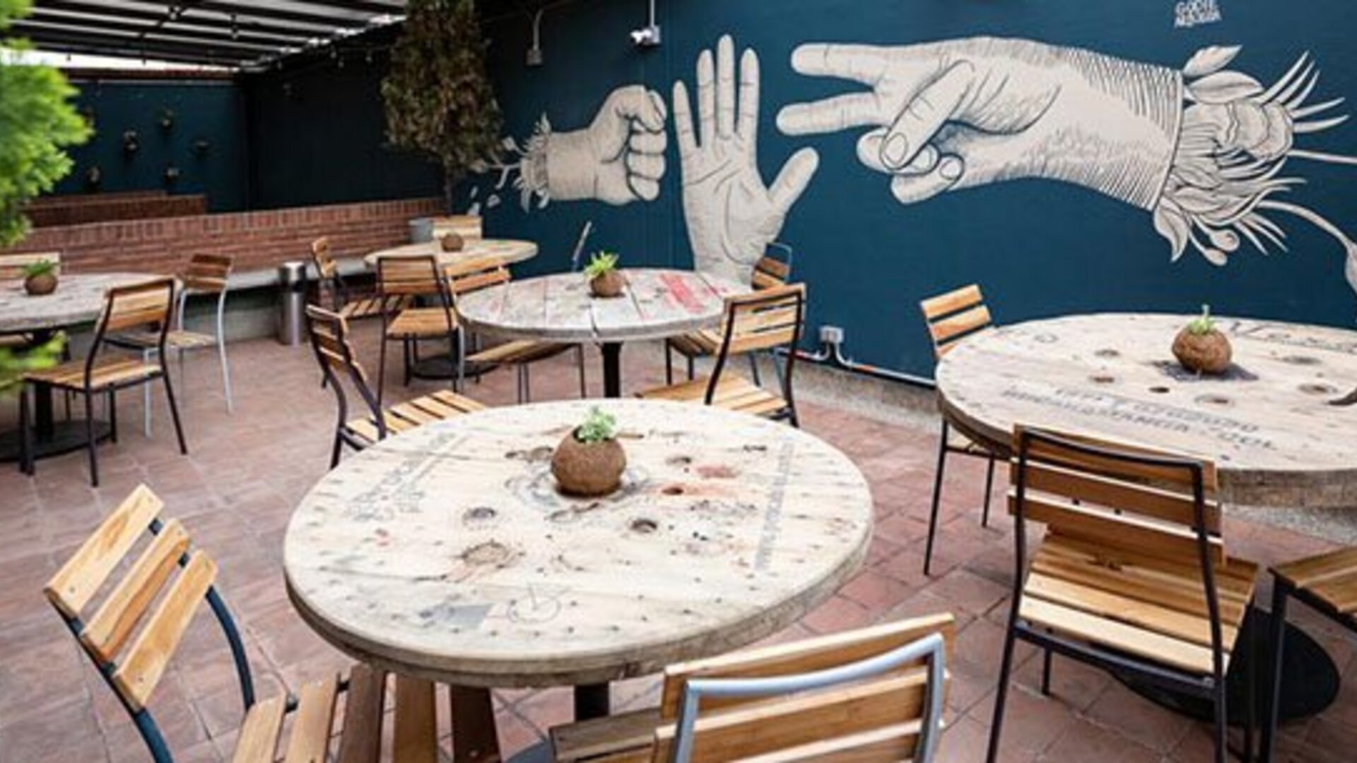 Selina Bogotá Chapinero