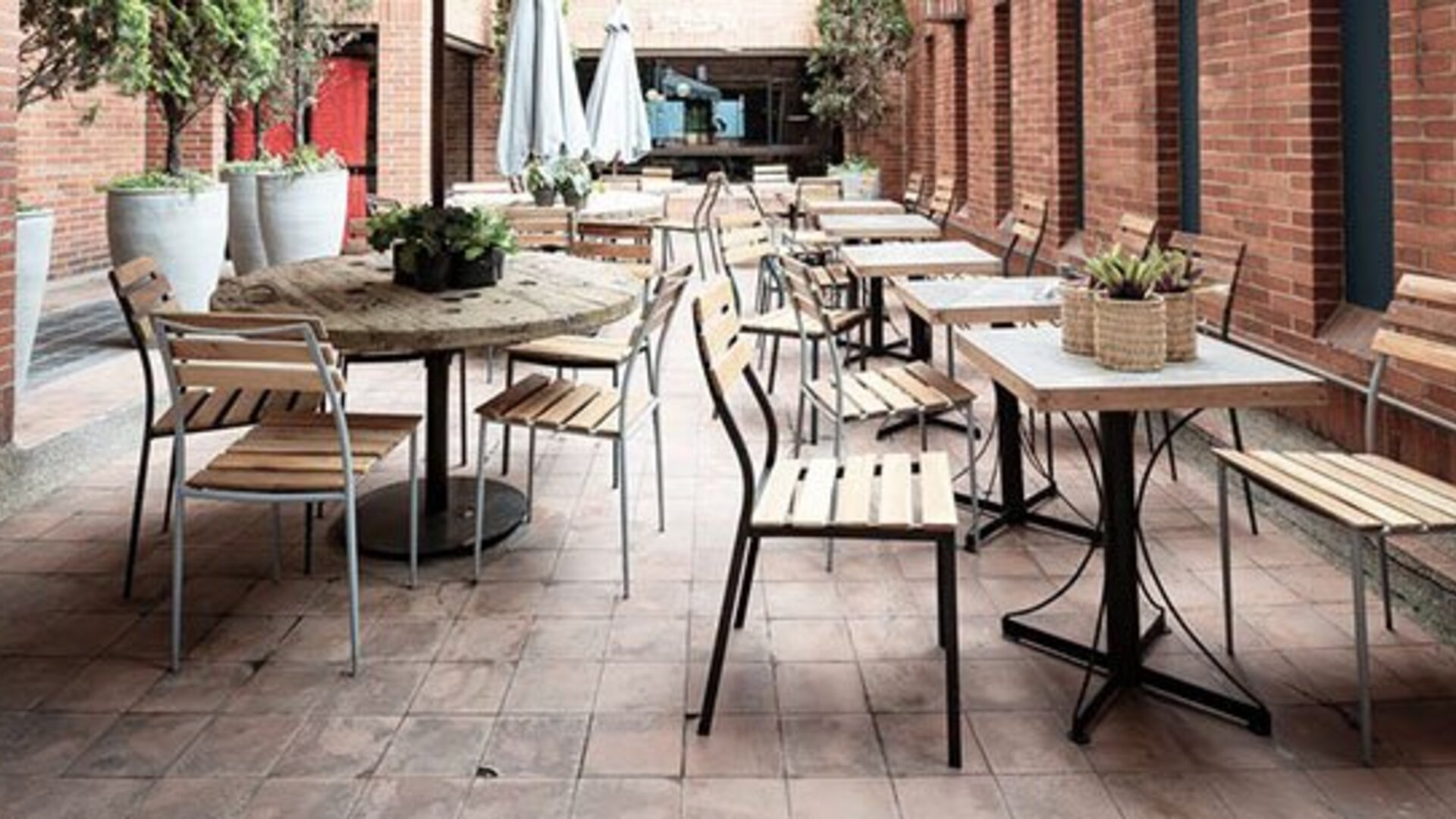 Selina Bogotá Chapinero