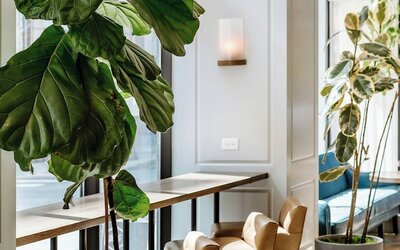 Woodlark Hotel Portland, a Tribute Portfolio Hotel