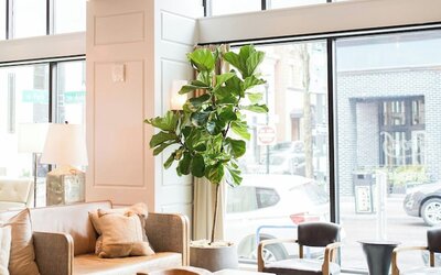 Woodlark Hotel Portland, a Tribute Portfolio Hotel