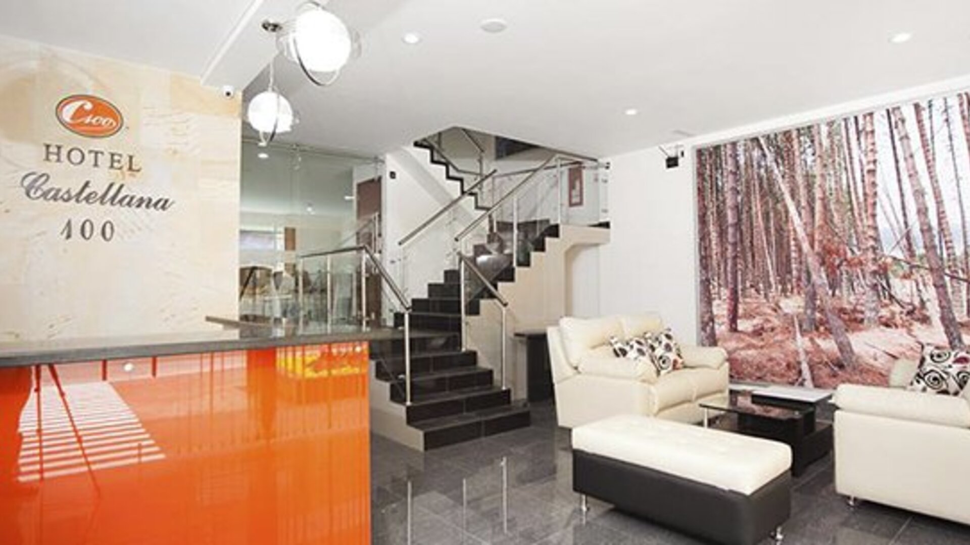 Hotel Castellana 100