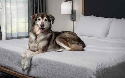 Homewood Suites by Hilton Vancouver-Portland