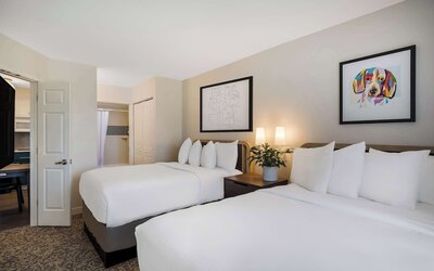 Studio Suite, 1 Queen Bed (Studio)