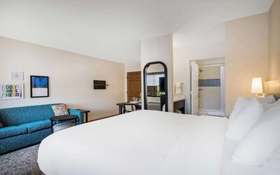 Room, 1 King Bed with Sofa bed, Accessible (Tub)