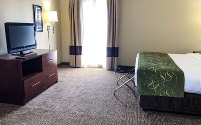 Comfort Suites Regency Park