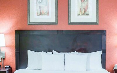 Comfort Suites Regency Park