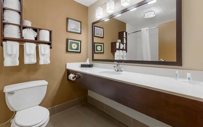 Comfort Suites Regency Park