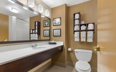 Comfort Suites Regency Park