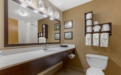 Comfort Suites Regency Park