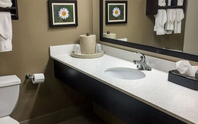Comfort Suites Regency Park