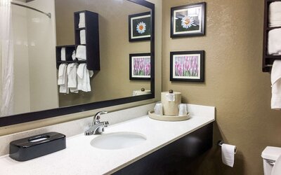 Comfort Suites Regency Park