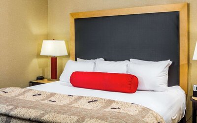 Cambria Hotel Raleigh - Durham Airport